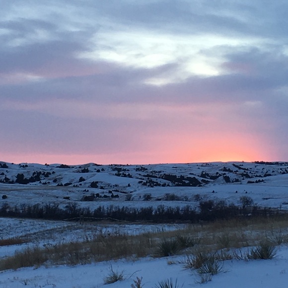 Meet your Posher, Tammy and alexis - Picture 1 of 1